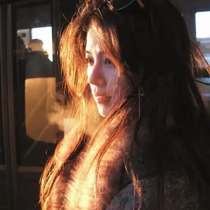 独狼2013